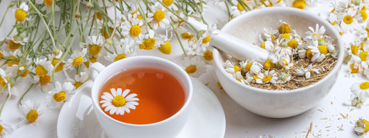 KAMOMIN / KAMOMIY (Chamomile)