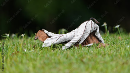 TEAYA! FEY TWONPET  | TRUMPET LEAF | 0.50 OZ